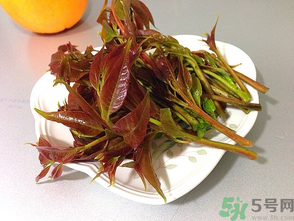 孕婦可以吃香椿嗎？孕婦吃香椿的好處及注意事項