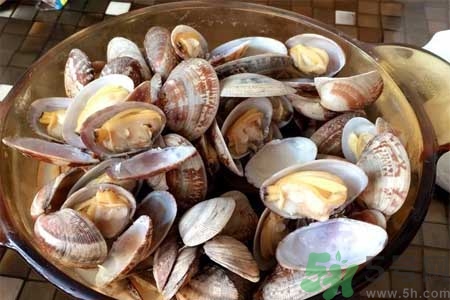 蛤蜊的食用方法有哪些？蛤蜊的營養(yǎng)價(jià)值是什么？