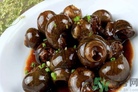 田螺肉怎樣做？田螺的營(yíng)養(yǎng)價(jià)值有哪些？