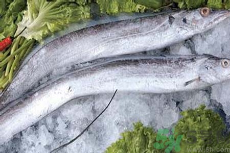 凍帶魚怎么解凍？帶魚內(nèi)臟怎么洗？
