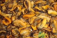 淡菜是什么？淡菜的營(yíng)養(yǎng)價(jià)值有哪些？