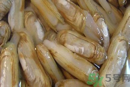 蟶子怎么洗？新鮮蟶子怎么挑選？