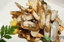 蟶子的功效與作用 蟶子的營(yíng)養(yǎng)價(jià)值 蟶子的功效與作用 蟶子的營(yíng)養(yǎng)價(jià)值