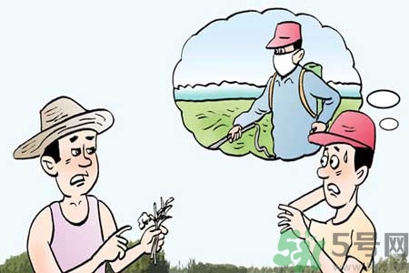 怎么洗掉水果上的農(nóng)藥？農(nóng)藥殘留的危害有哪些？