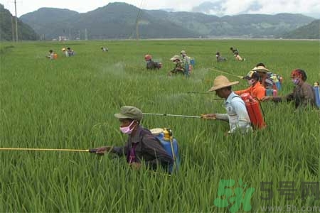 如何去除蔬菜上農(nóng)藥殘留？清洗農(nóng)藥小竅門有哪些？