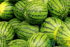 西瓜牛奶可以一起吃嗎？西瓜牛奶怎么做好吃？