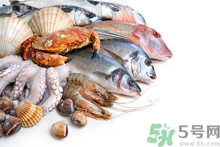 海鮮不能和什么一起吃？吃海鮮不能吃什么？