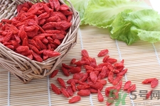枸杞子泡酒怎么泡？枸杞酒的制作方法是什么？
