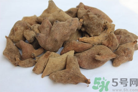 五倍子能治早泄嗎？五倍子的副作用有哪些？