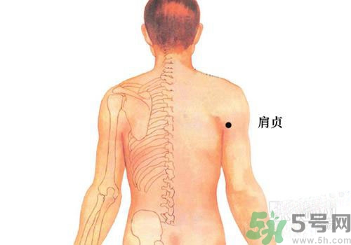 肩周炎艾灸有用嗎？肩周炎艾灸哪些部位？