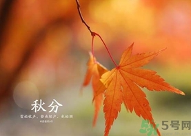 秋分吃什么？秋分吃什么水果？