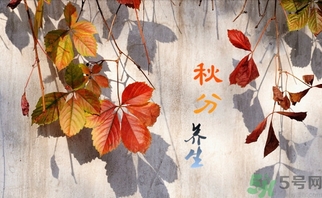 秋分吃什么？秋分吃什么水果？