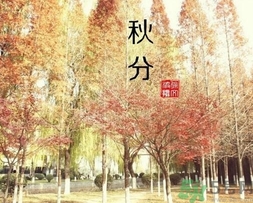 秋分吃什么？秋分吃什么水果？