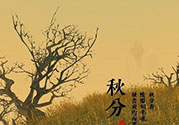 秋分吃什么？秋分吃什么水果？