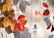 秋分喝什么茶？秋分養(yǎng)生茶飲推薦