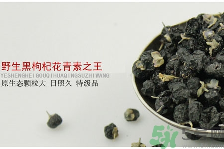 如何鑒別真假黑枸杞？黑枸杞價格多少？