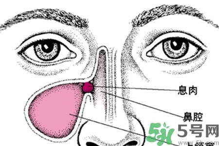 鼻子不通氣是怎么回事？鼻子不通氣怎么辦？