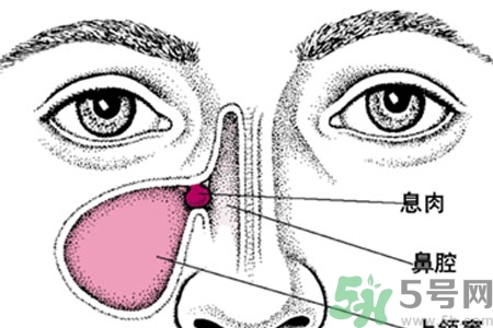 鼻子出血怎么辦？鼻子出血的原因是什么？