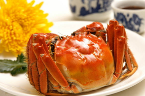 螃蟹什么季節(jié)最好吃？螃蟹幾月份吃最好？