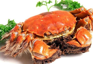 螃蟹什么季節(jié)最好吃？螃蟹幾月份吃最好？