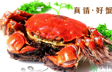 螃蟹什么時候吃最好？吃螃蟹的最佳時間 