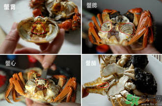 陽(yáng)澄湖大閘蟹怎么吃？食陽(yáng)澄湖大閘蟹注意事項(xiàng)