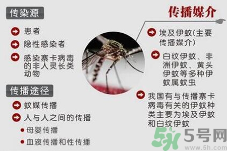 寨卡病毒是如何傳播的？寨卡病毒傳播途徑是什么？