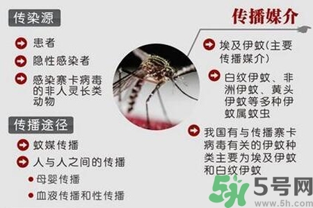 寨卡病毒會(huì)死人嗎？寨卡病毒會(huì)死嗎？