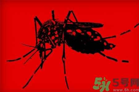 寨卡病毒會(huì)死人嗎？寨卡病毒會(huì)死嗎？