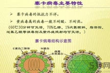 寨卡病毒對孕婦有危害嗎？寨卡病毒對孕婦的危害有哪些？
