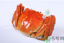 陽澄湖大閘蟹怎么做好吃？陽澄湖大閘蟹的做法