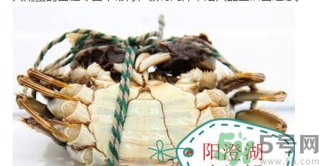 陽澄湖大閘蟹真假怎么辨別?陽澄湖大閘蟹真假對(duì)比圖