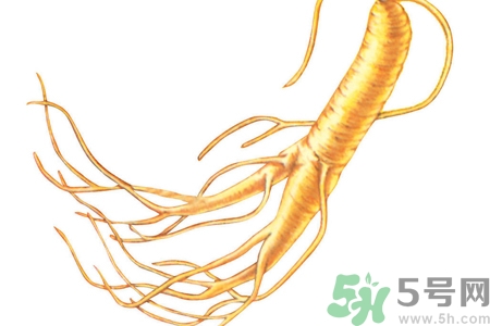 人參怎么吃效果最好？人參的做法大全