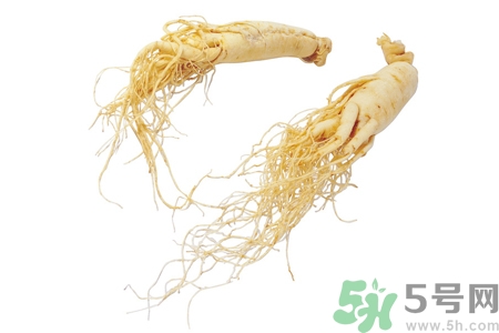 人參怎么吃效果最好？人參的做法大全
