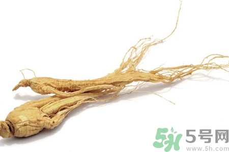 人參怎么吃效果最好？人參的做法大全