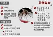 寨卡病毒對(duì)兒童的影響有哪些？寶寶如何避免及預(yù)防？