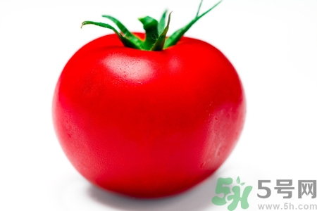 番茄和西紅柿有什么區(qū)別？番茄和西紅柿一樣嗎？