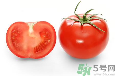 番茄和西紅柿有什么區(qū)別？番茄和西紅柿一樣嗎？