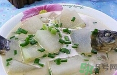 鯽魚(yú)可以和冬瓜一起吃嗎?鯽魚(yú)能和冬瓜同吃嗎?