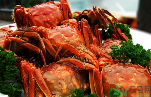 洪澤湖大閘蟹多少錢(qián)一斤？洪澤湖大閘蟹價(jià)格