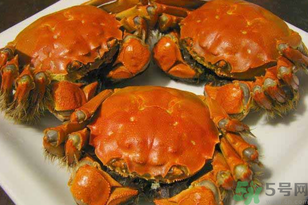 洪澤湖大閘蟹多少錢(qián)一斤？洪澤湖大閘蟹價(jià)格