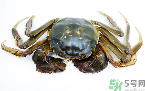 河蟹死了還能吃嗎？河蟹死了多久還能吃？