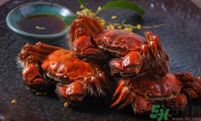 陽(yáng)澄湖大閘蟹死了還能吃嗎？陽(yáng)澄湖大閘蟹死了為什么不能吃？