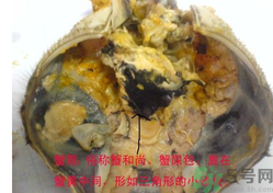梭子蟹哪些部位不能吃？梭子蟹哪些人不能吃？