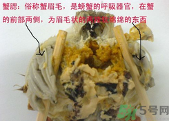 梭子蟹哪些部位不能吃？梭子蟹哪些人不能吃？