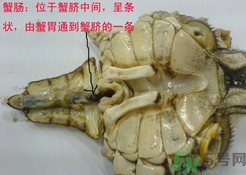 梭子蟹哪些部位不能吃？梭子蟹哪些人不能吃？