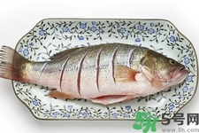 秋季適合吃什么魚？秋季吃魚的好處？
