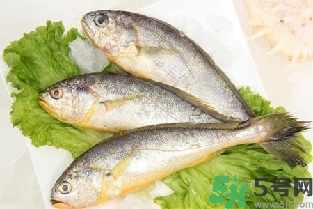 秋季適合吃什么魚？秋季吃魚的好處？