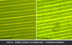 sk2大眼眼霜怎么樣？sk2大眼眼霜好用嗎？