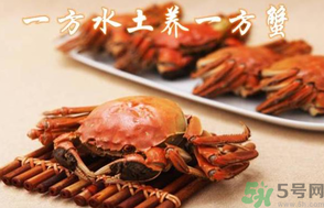 盤錦河蟹和陽澄湖大閘蟹的區(qū)別？盤錦河蟹和陽澄湖大閘蟹哪個比較好吃？
